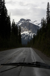 Bella Coola