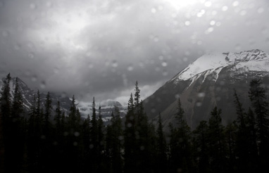 Bella Coola