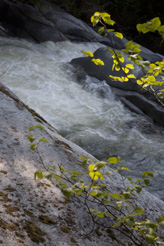 Bella Coola