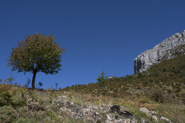 Pyrénées
