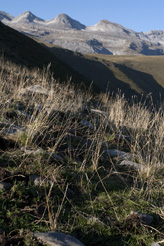 Pyrénées