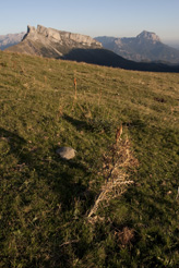 Pyrénées