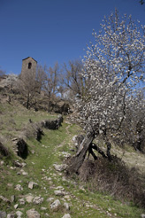 Pyrénées