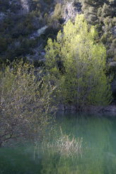 Pyrénées
